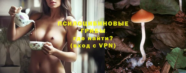 прущие крисы Алзамай