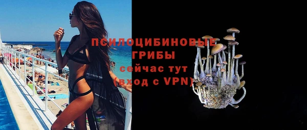 прущие крисы Алзамай